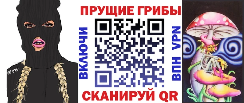 цены   Ахтубинск  Галлюциногенные грибы мицелий 